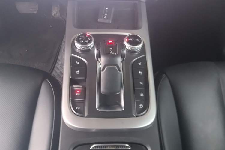 Used Tank 300 2024 2.0T Crosser
