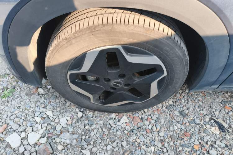 Used BYD Dolphin 2024 Honor Edition 420km Freedom Version