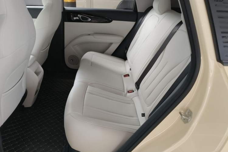 Used  Geome 2025 310km Youth Edition
