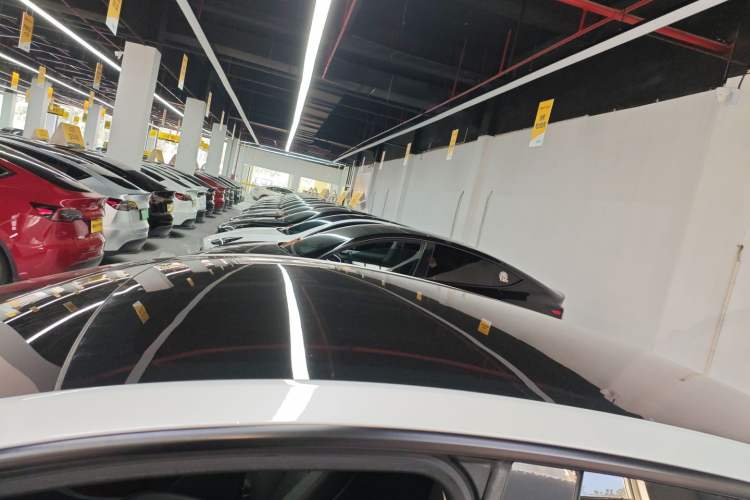 Used Tesla Model Y 2021 Long-Range All-Wheel-Drive Version 3D7