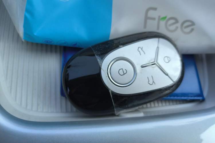 Used  Geome 2025 310km Youth Edition
