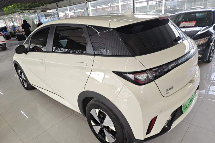 Used BYD Dolphin 2023 420 km Free Version