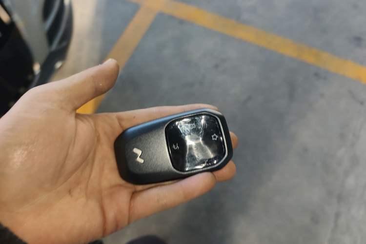 Used ONVO Luxeed L90 
