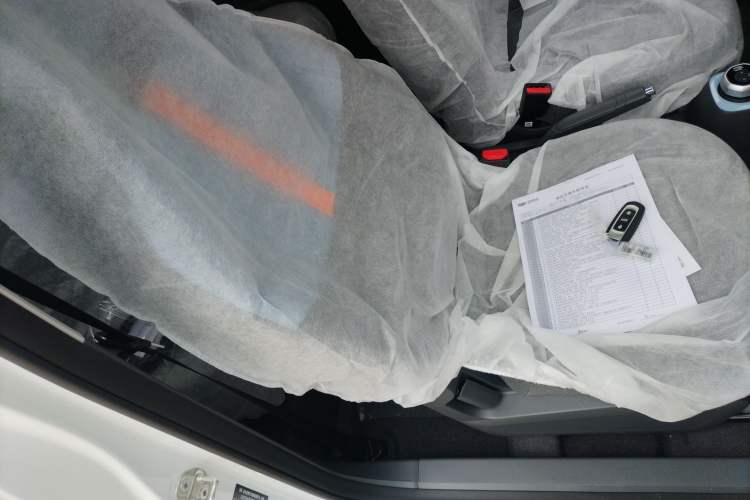 Used  Panda 2024 Panda Mini 200km Endurance Bear
