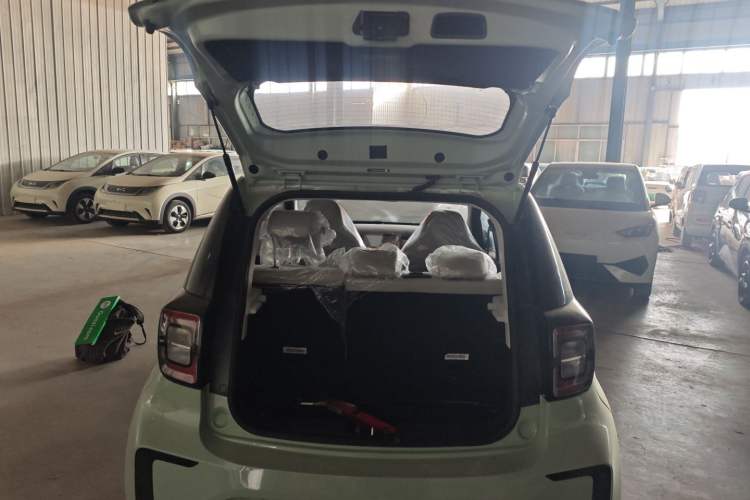 Used SOL E10X 2022 Flower Fairy Design Four-Leaf Clover