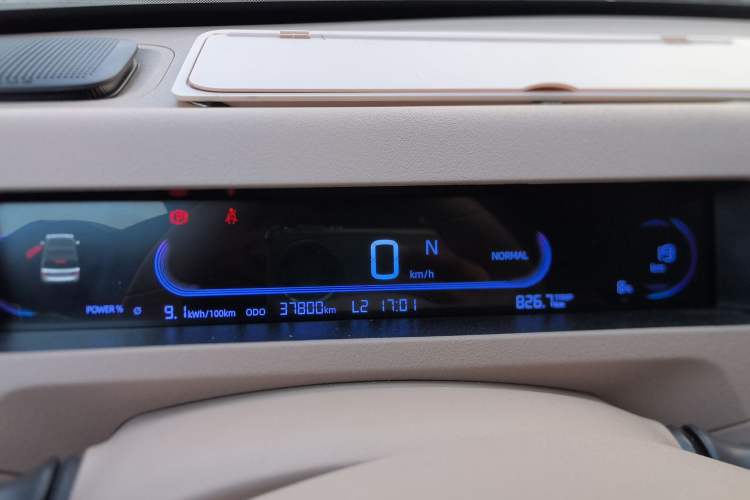 Used  Panda 2023 Panda Mini 200km Endurance Bear
