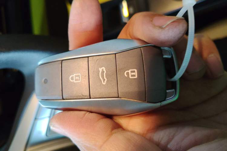 Used SOL E10X 2022 Flower Fairy Design Four-Leaf Clover