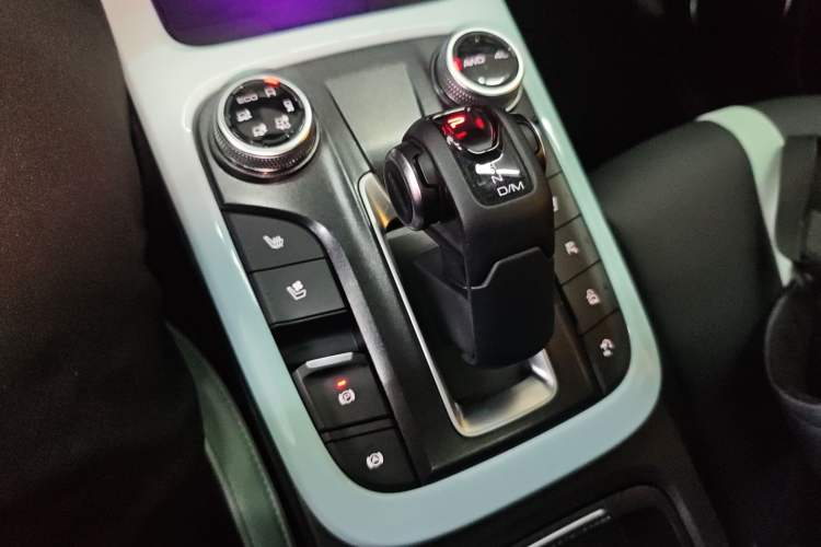 Used Tank 300 2021 City Edition 2.0T—Truly Stylish
