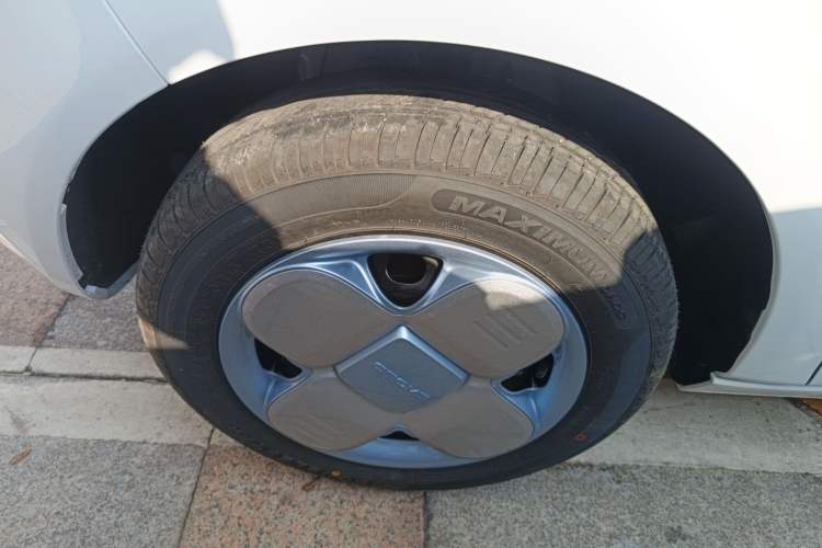 Used  Panda 2024 Panda Mini 200km Endurance Bear
