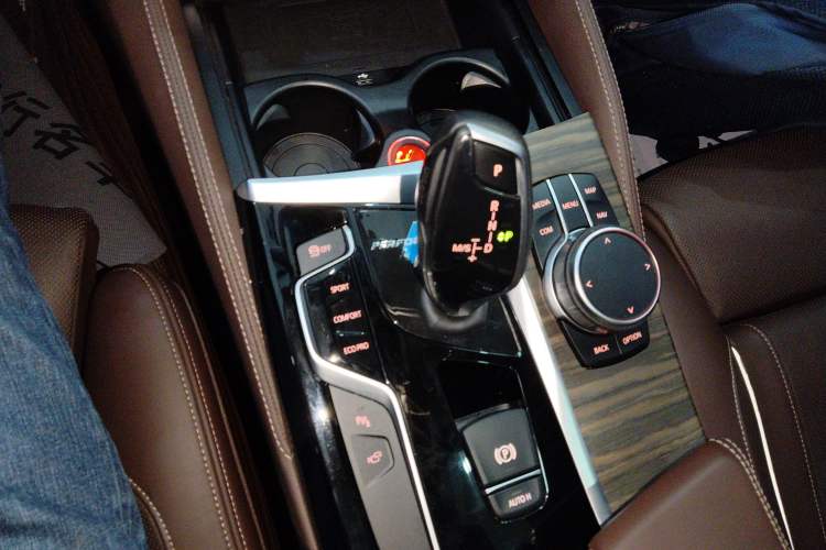 Used BMW 5 Series 2020 530Li Luxury Edition Premium Package