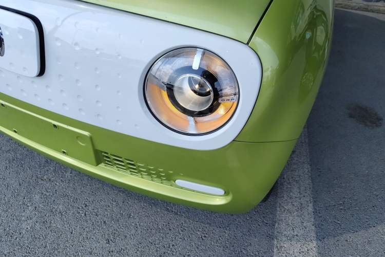 Used ORA Black Cat 2019 301km Standard Edition