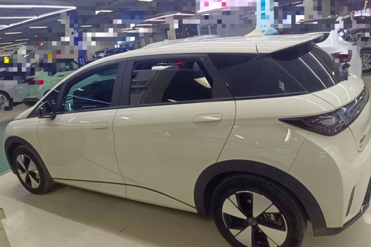 Used BYD Dolphin 2023 420 km Free Version
