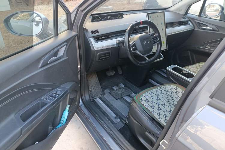 Used NETA AYA 2023 401 Lite
