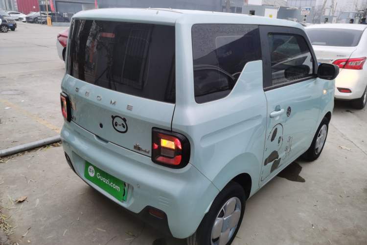 Used  Panda 2023 Panda Mini 200km Endurance Bear
