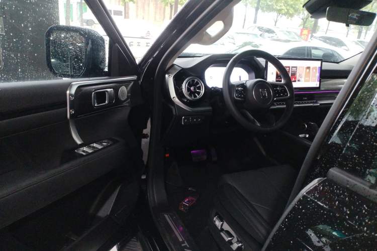 Used Tank 400 2025 2.0T Gasoline Version
