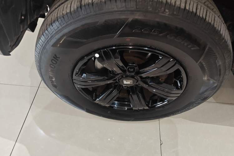 Used Tank 300 2023 Off-Road Edition 2.0T Conqueror
