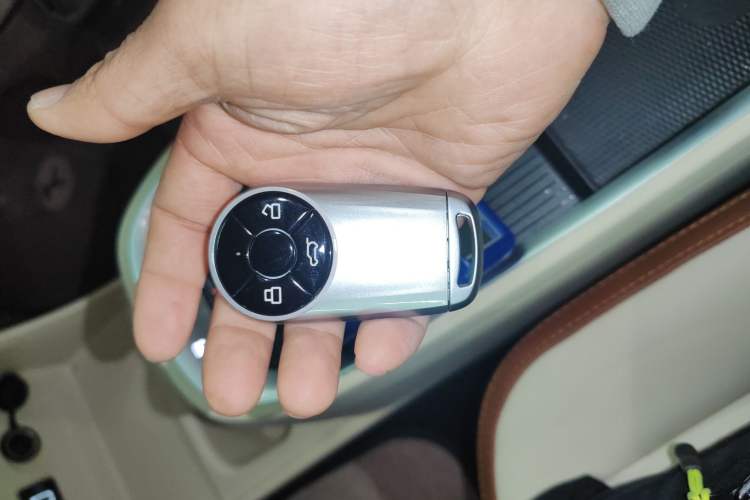 Used ORA Good Cat 2021 400km Standard Range Athena Edition Lithium-Ion Battery