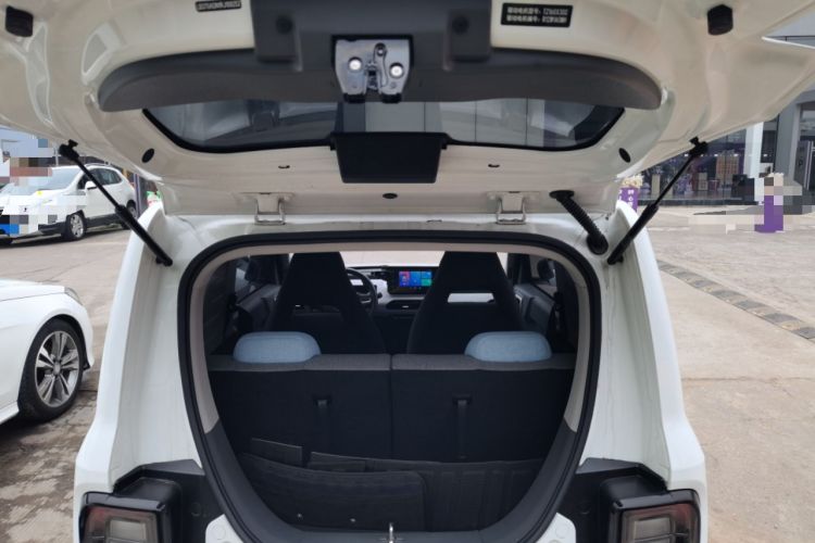 Used  Panda 2024 Panda Mini 200km Endurance Bear