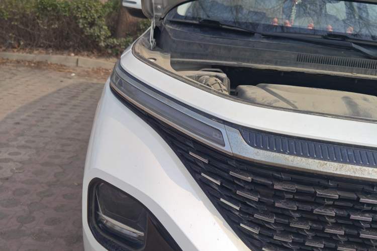 Used Baojun RM-5 2019 1.5T CVT 24-Hour Online Luxury Version 7 Seats
