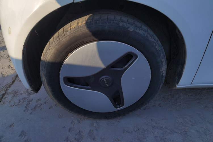 Used ORA White Cat 2020 360 km Luxury Version