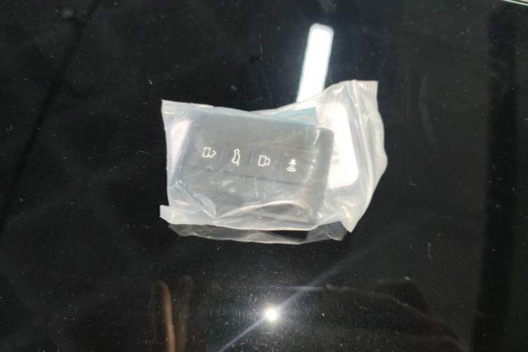 Used Tank 700 New Energy 2024 Hi4-T Extreme Edition
