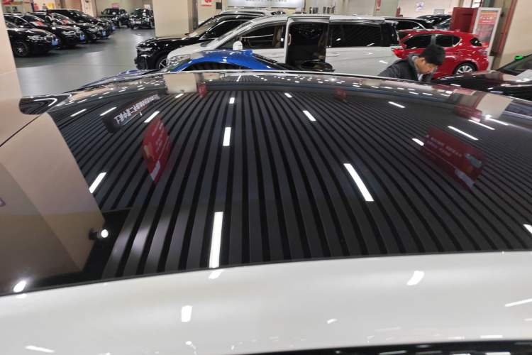 Used  LS6 2023 Max Standard Edition
