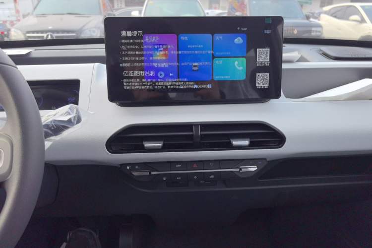 Used  Panda 2024 Panda Mini 200km Endurance Bear
