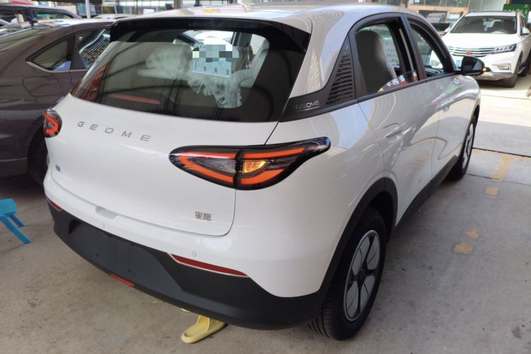 Used  Geome 2025 310km Youth Edition
