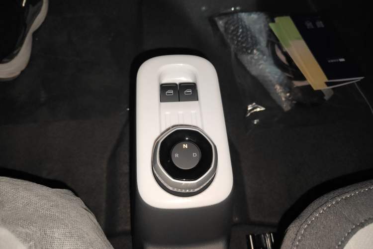 Used  Panda 2025 210 km – Yuanqi Bear
