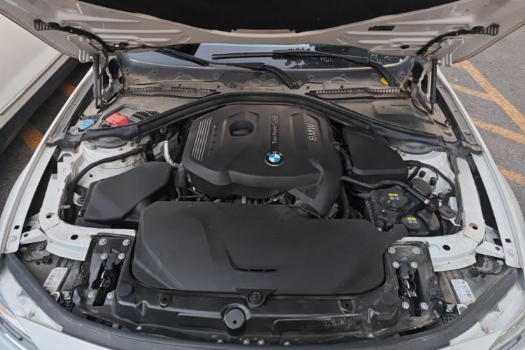 Used BMW 3 Series 2017 320Li Luxury Design Package
