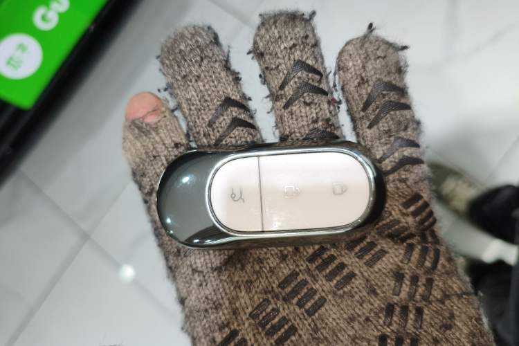 Used Leapmotor C16 2024 Range-Extended 200 LiDAR Edition
