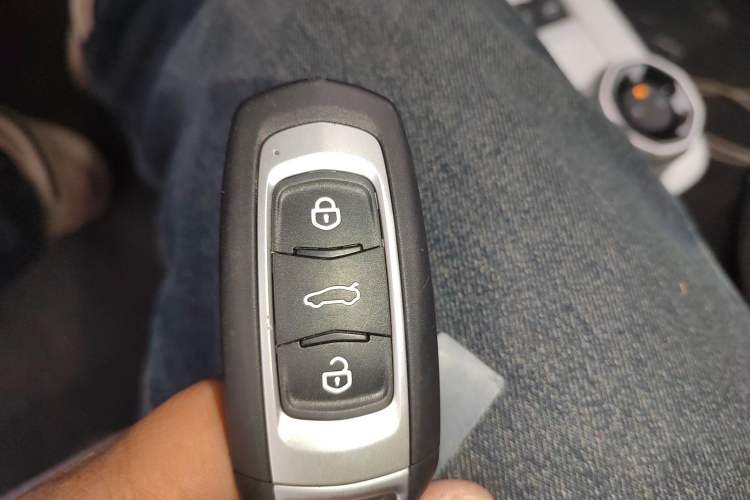 Used  Panda 2025 210 km – Yuanqi Bear
