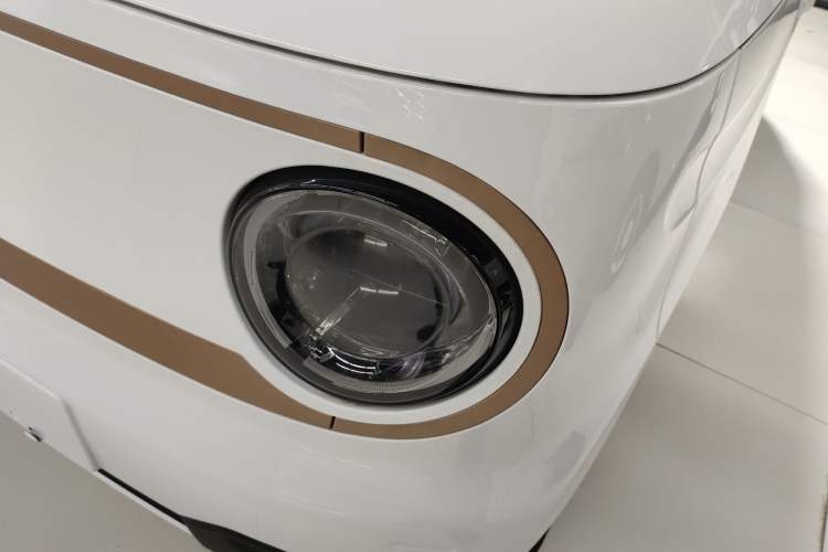 Used  Panda 2024 Panda Mini 200km Dragon Edition