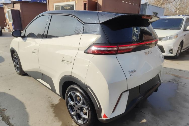 Used BYD Seagull 2024 Honor Edition 305km Freedom Version