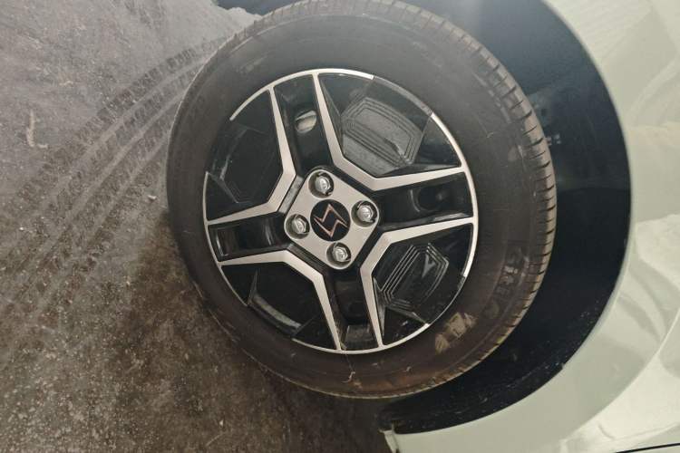 Used SOL E10X 2022 Flower Fairy Design Four-Leaf Clover