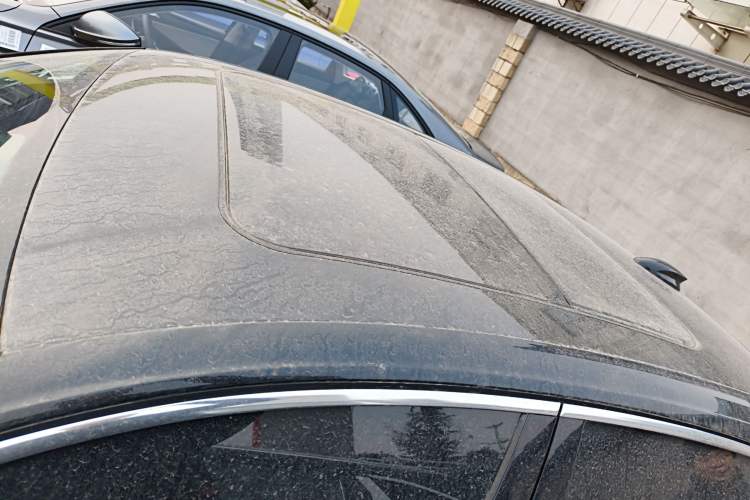 Used Hongqi H9 2020 3.0T Smart Connect Flagship Four-Seat Version