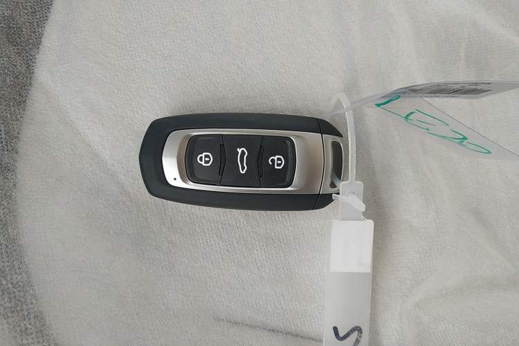 Used  Panda 2025 210 km – Yuanqi Bear
