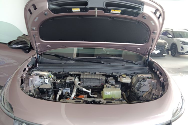 Used VOYAH COURAGE 2024 Four-Wheel Drive Global Edition
