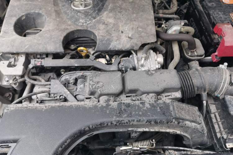 Used Toyota Wildlander 2020 2.0L CVT Two-Wheel Drive Luxury Edition