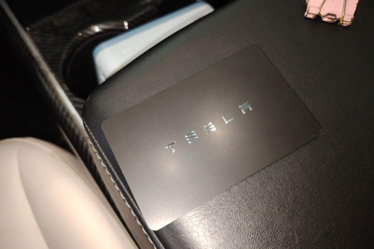 Used Tesla Model 3 2019 Long-Range All-Wheel-Drive Version
