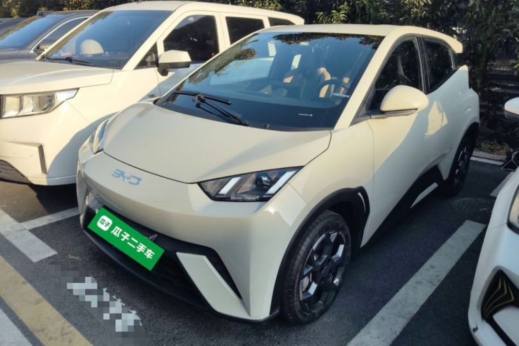 Used BYD Seagull 2025 305 km Free Version