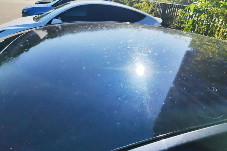 Used Tesla Model Y 2024 Rear-Wheel-Drive Version