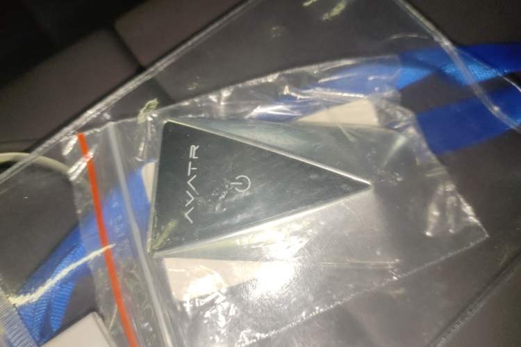 Used  07 2024 Max Extended-Range Edition