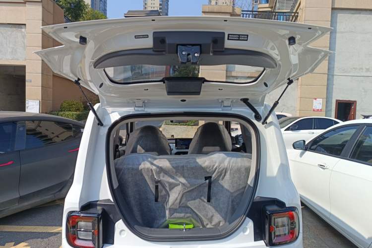 Used  Panda 2024 Panda Mini 200km Endurance Bear
