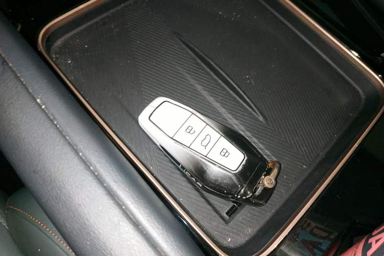 Used  03 2024 501km Two-Wheel Drive Long-Range Version