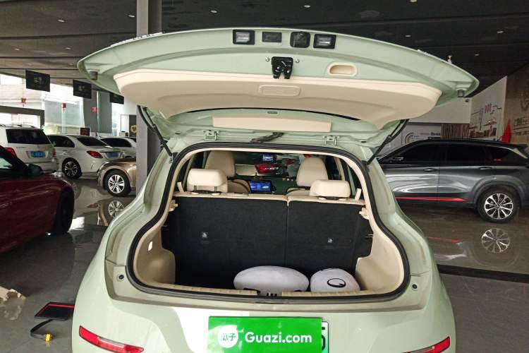 Used ORA Good Cat 2023 401 km Standard Range Luxury Version Lithium Iron Phosphate
