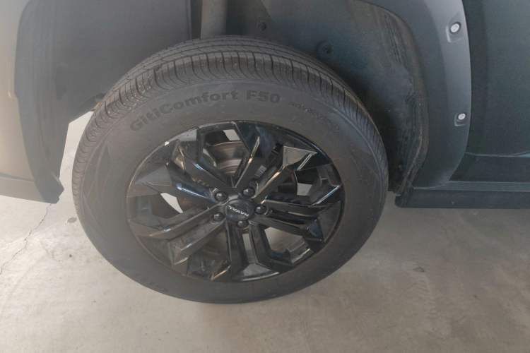 Used Haval  2023 1.5T Two-Wheel Drive Chao Ye Version Plus
