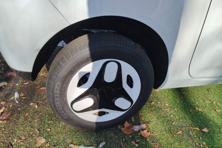 Used  Panda 2025 210 km – Yuanqi Bear
