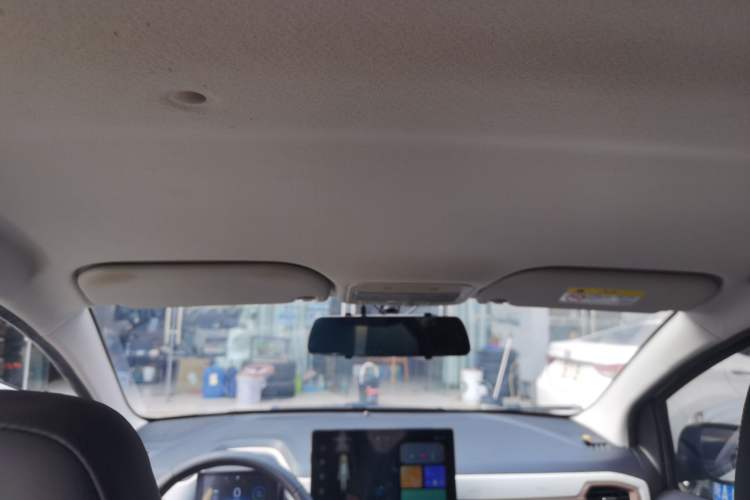 Used SOL E10X 2022 Flower Fairy Design Four-Leaf Clover
