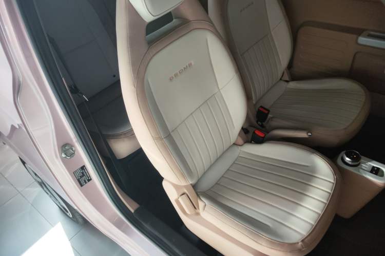 Used  Panda 2023 Panda Mini 200km Endurance Bear